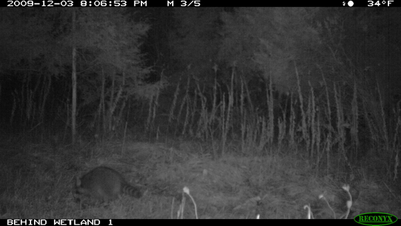 Full Size Image = 709 K