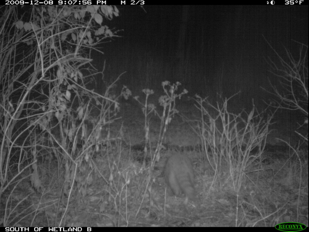 Full Size Image = 1058 K