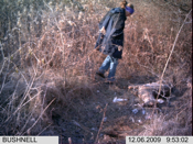 Deer Carcass Perspective