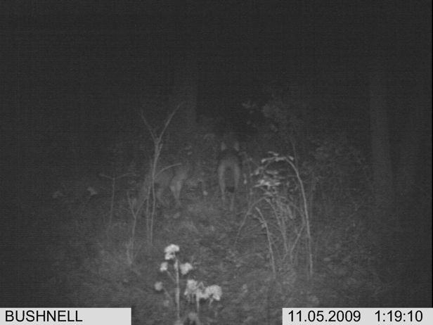 Full Size Image = 1127 K