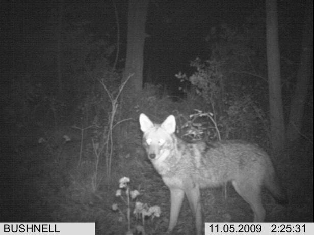 Full Size Image = 1230 K