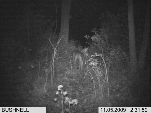 Full Size Image = 1222 K