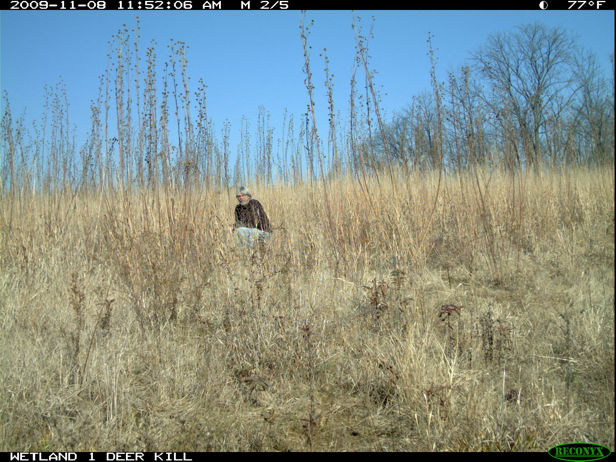 Full Size Image = 2788 K