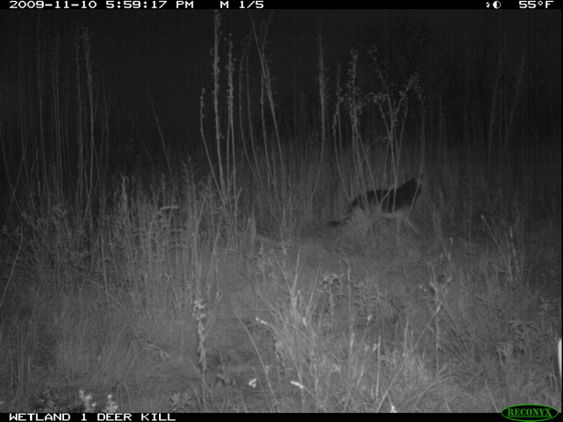 Full Size Image = 1038 K