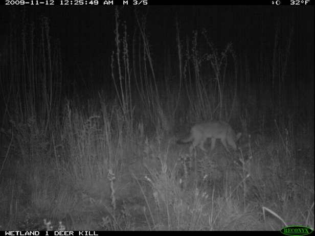 Full Size Image = 1012 K