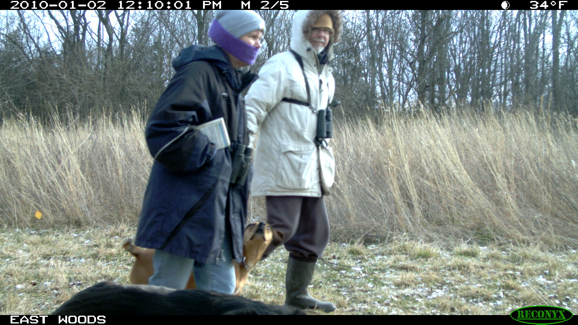 Full Size Image = 1668 K