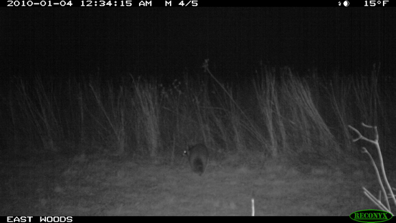 Full Size Image = 657 K