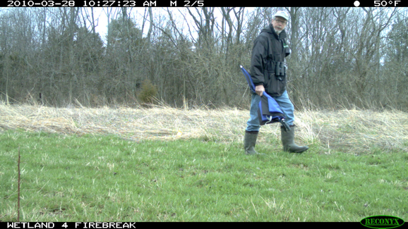 Full Size Image = 1989 K