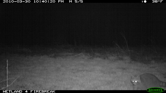 Full Size Image = 637 K