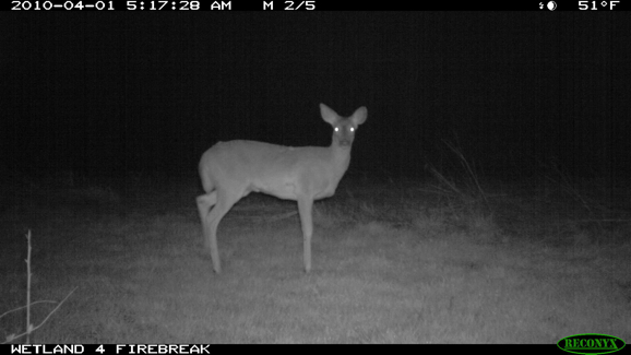 Full Size Image = 631 K