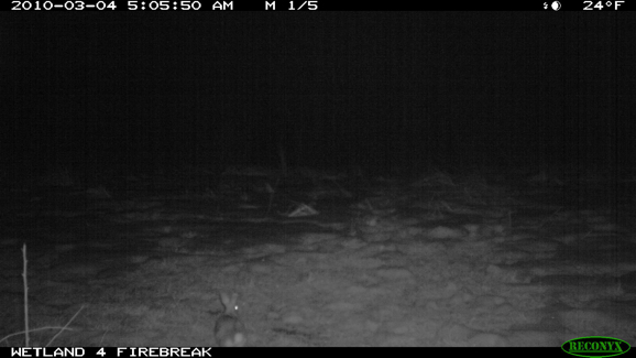 Full Size Image = 639 K