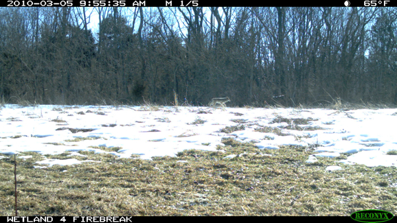 Full Size Image = 2258 K