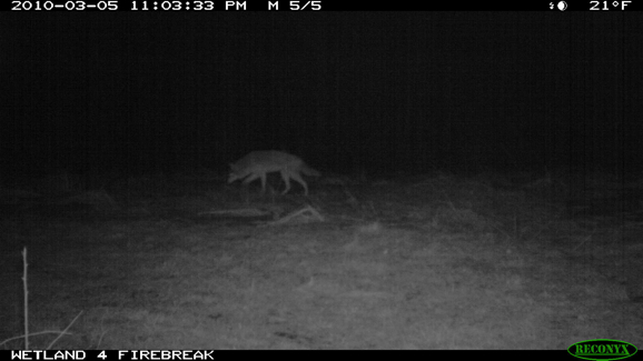 Full Size Image = 640 K