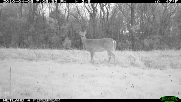 Full Size Image = 679 K