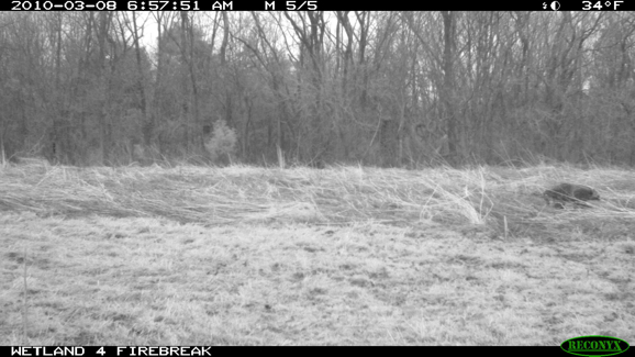 Full Size Image = 758 K