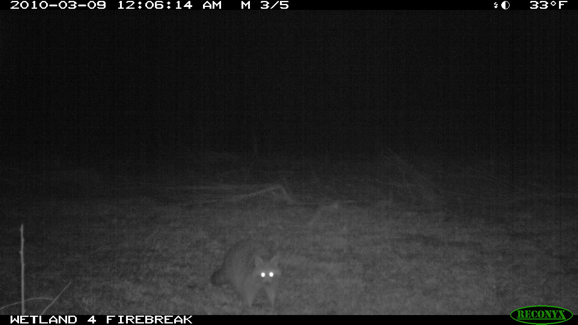 Full Size Image = 652 K