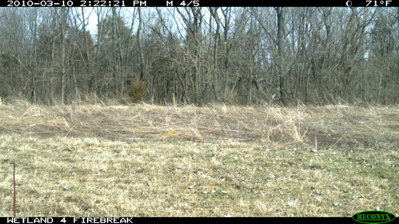 Full Size Image = 2397 K