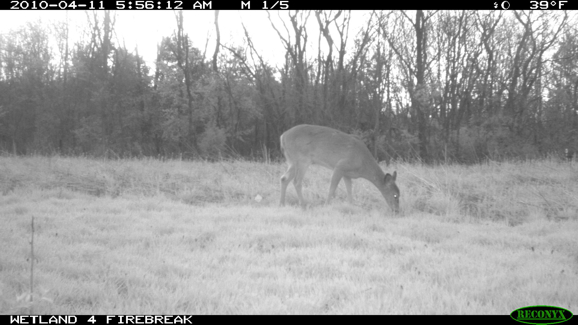 Full Size Image = 680 K