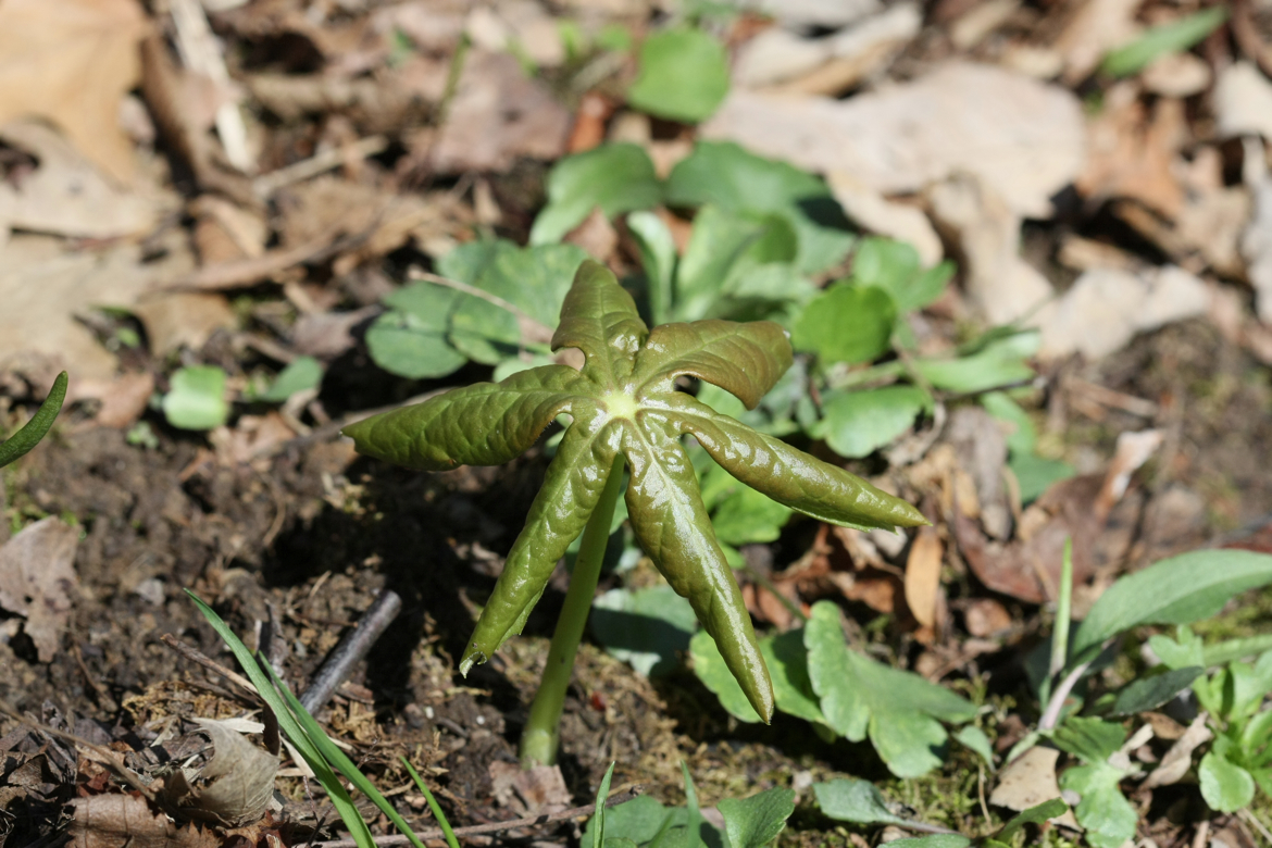 Full Size Image = 6414 K