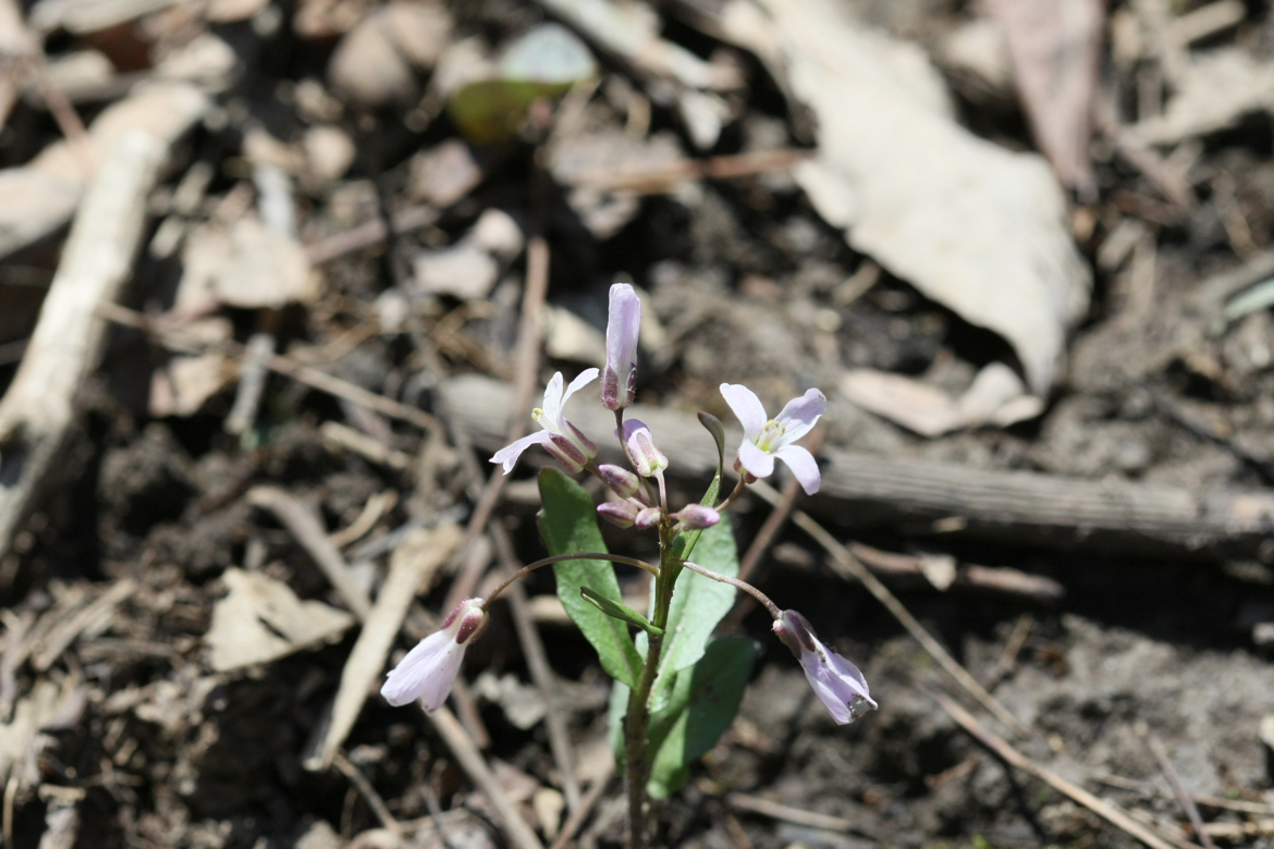 Full Size Image = 5492 K