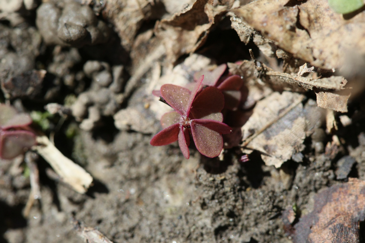 Full Size Image = 6189 K