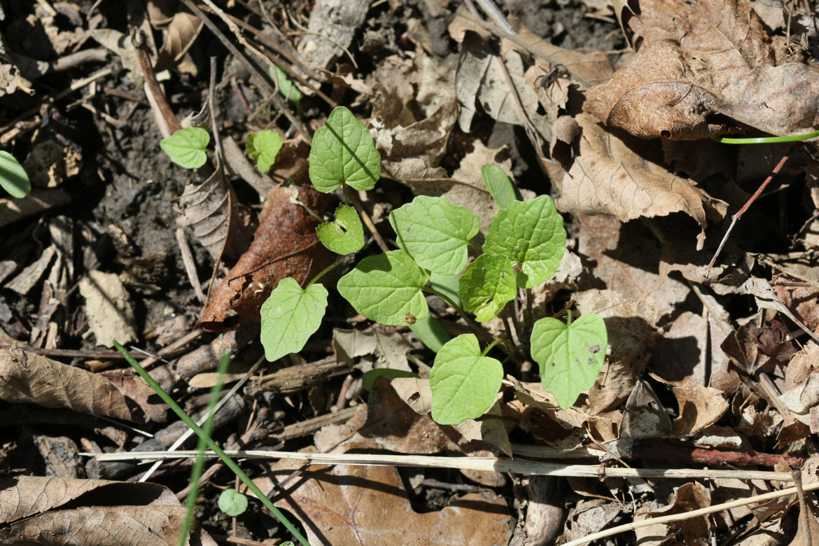 Full Size Image = 7744 K