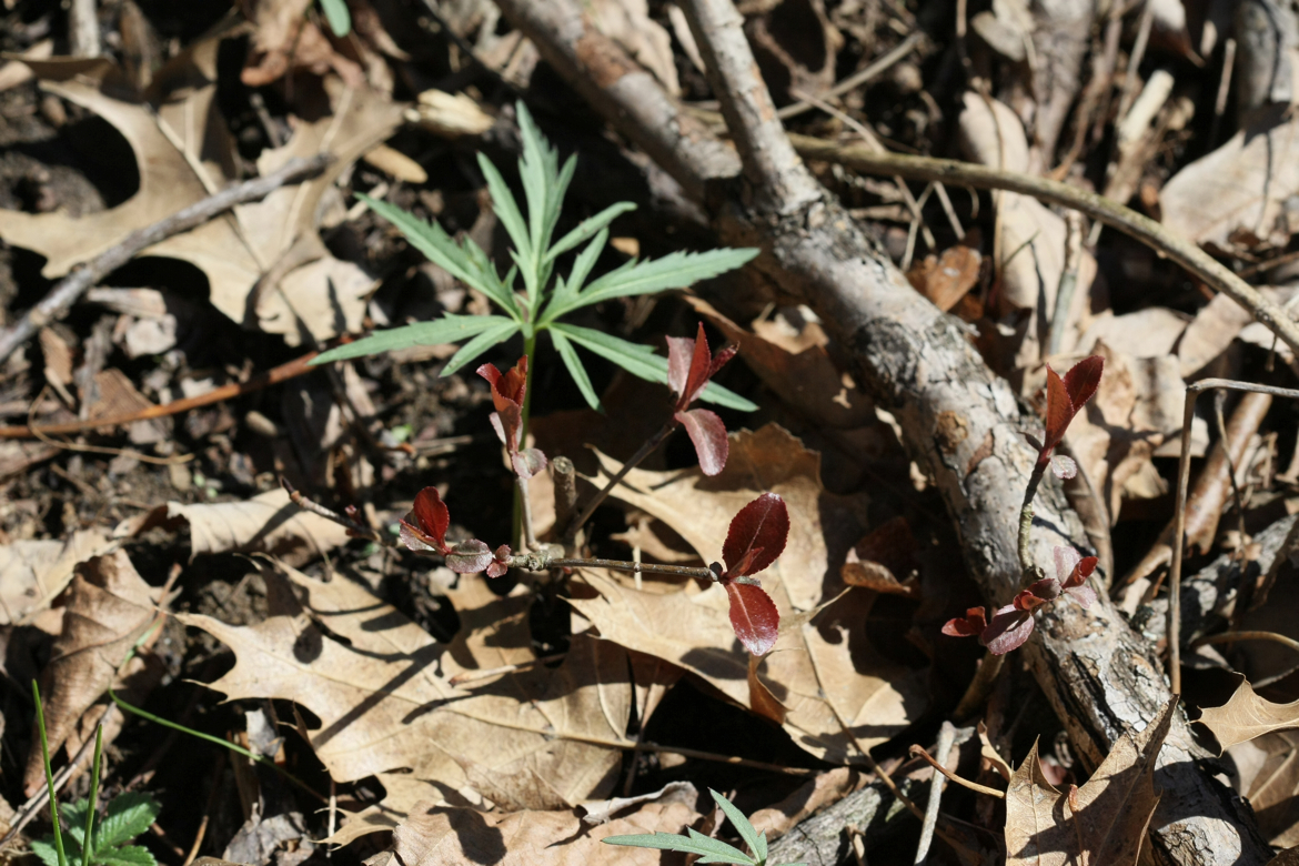 Full Size Image = 6413 K