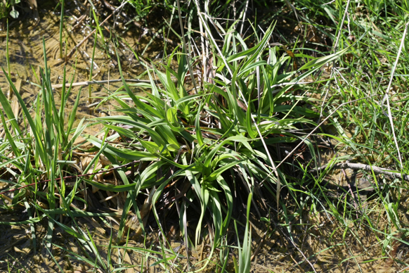 Full Size Image = 3326 K