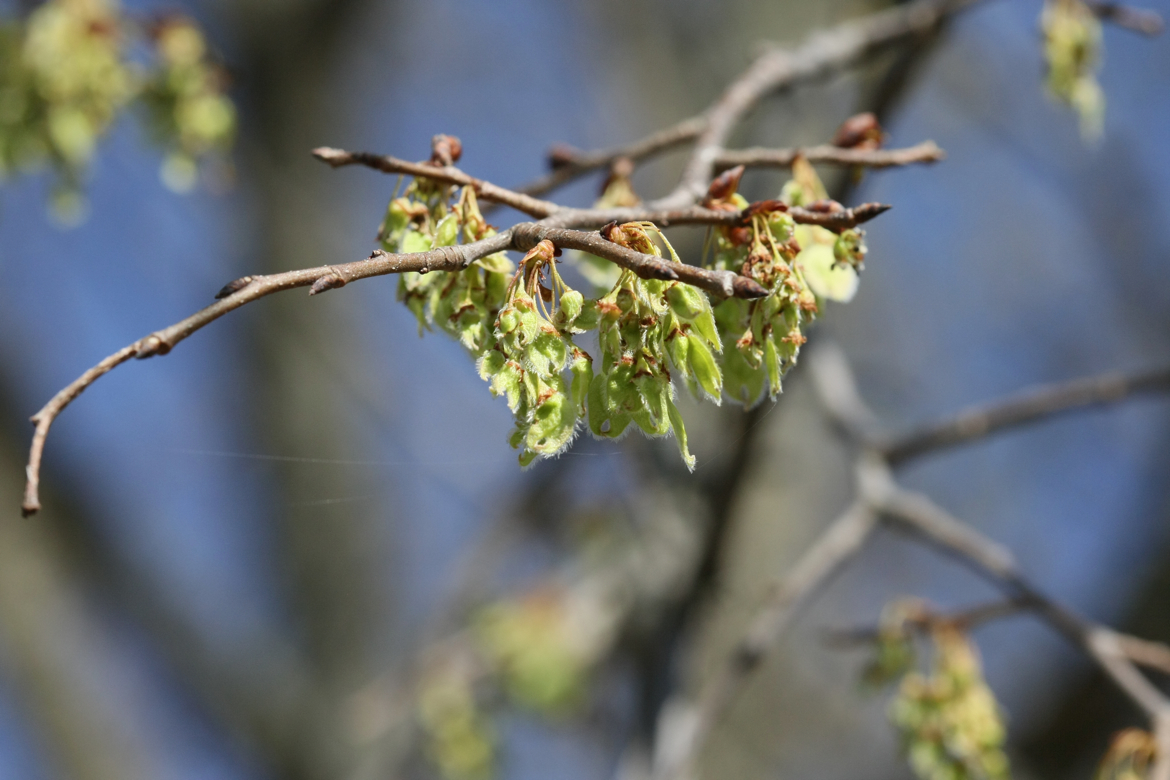 Full Size Image = 5630 K