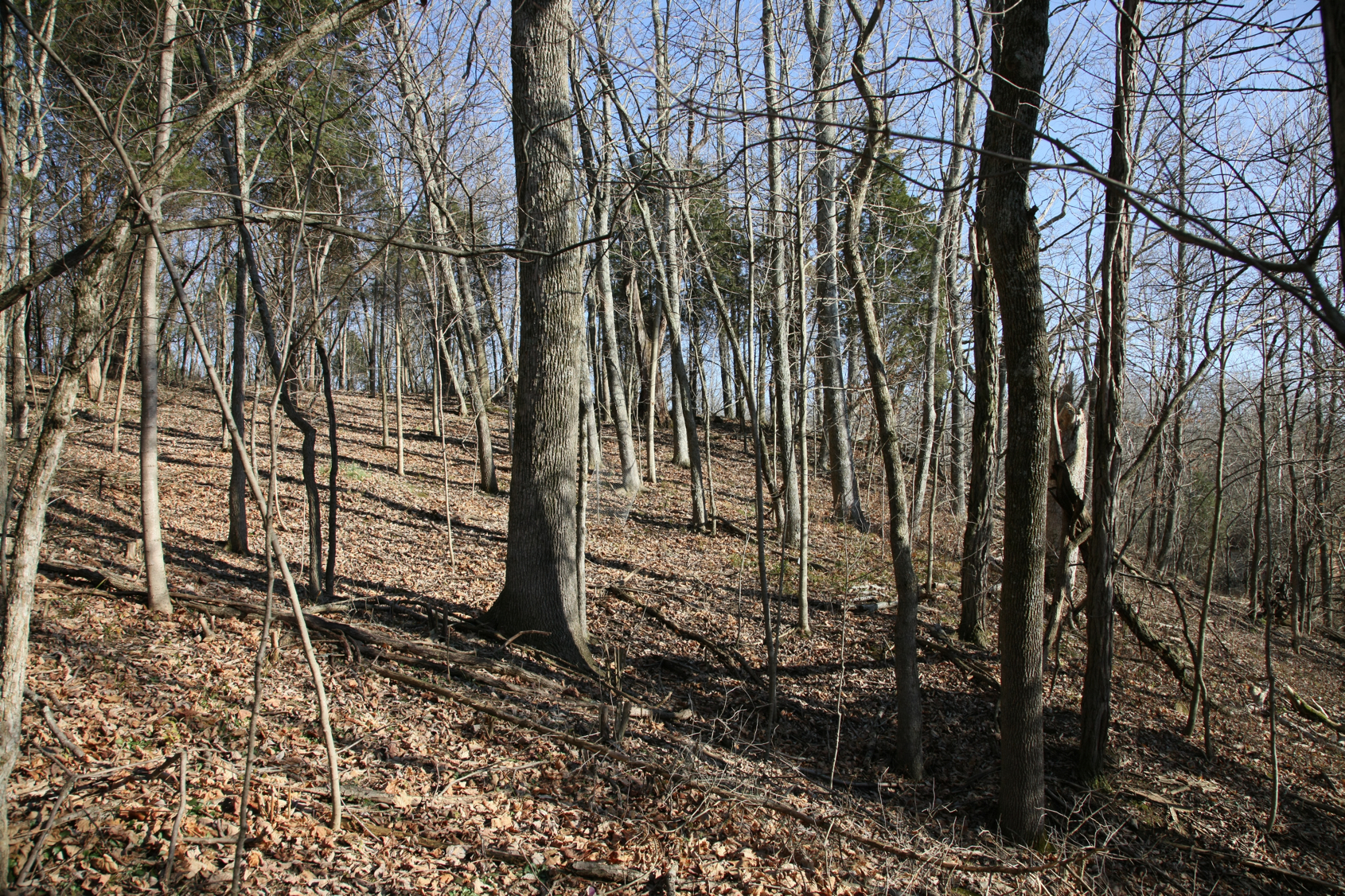 Full Size Image = 26391 K