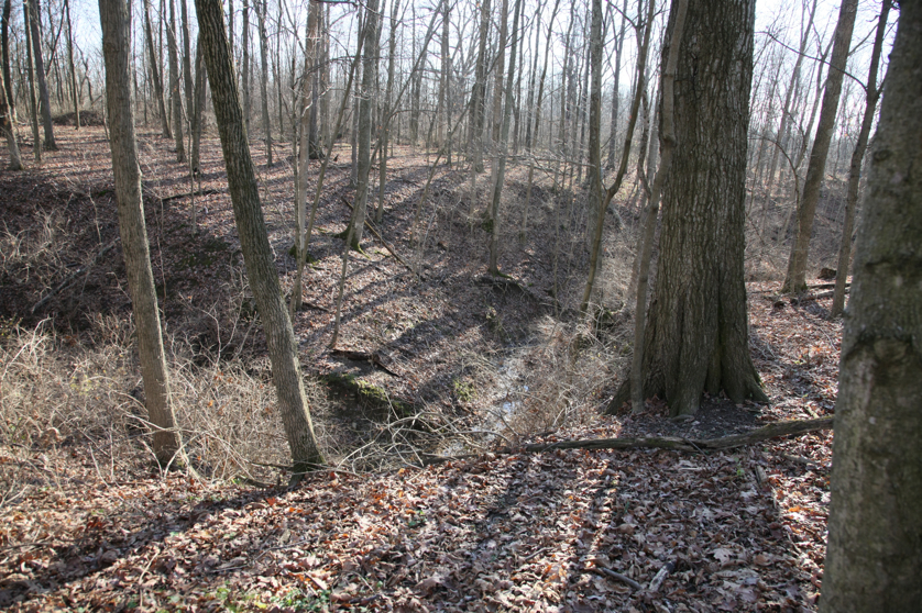 Full Size Image = 6995 K