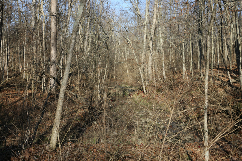 Full Size Image = 7272 K