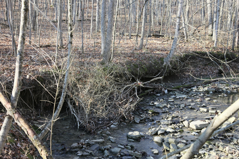 Full Size Image = 7054 K