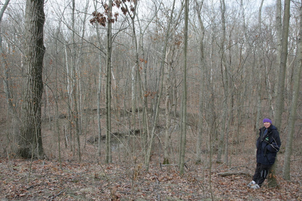 Full Size Image = 4981 K