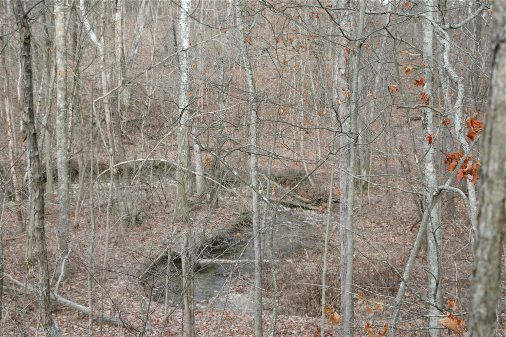 Full Size Image = 3294 K