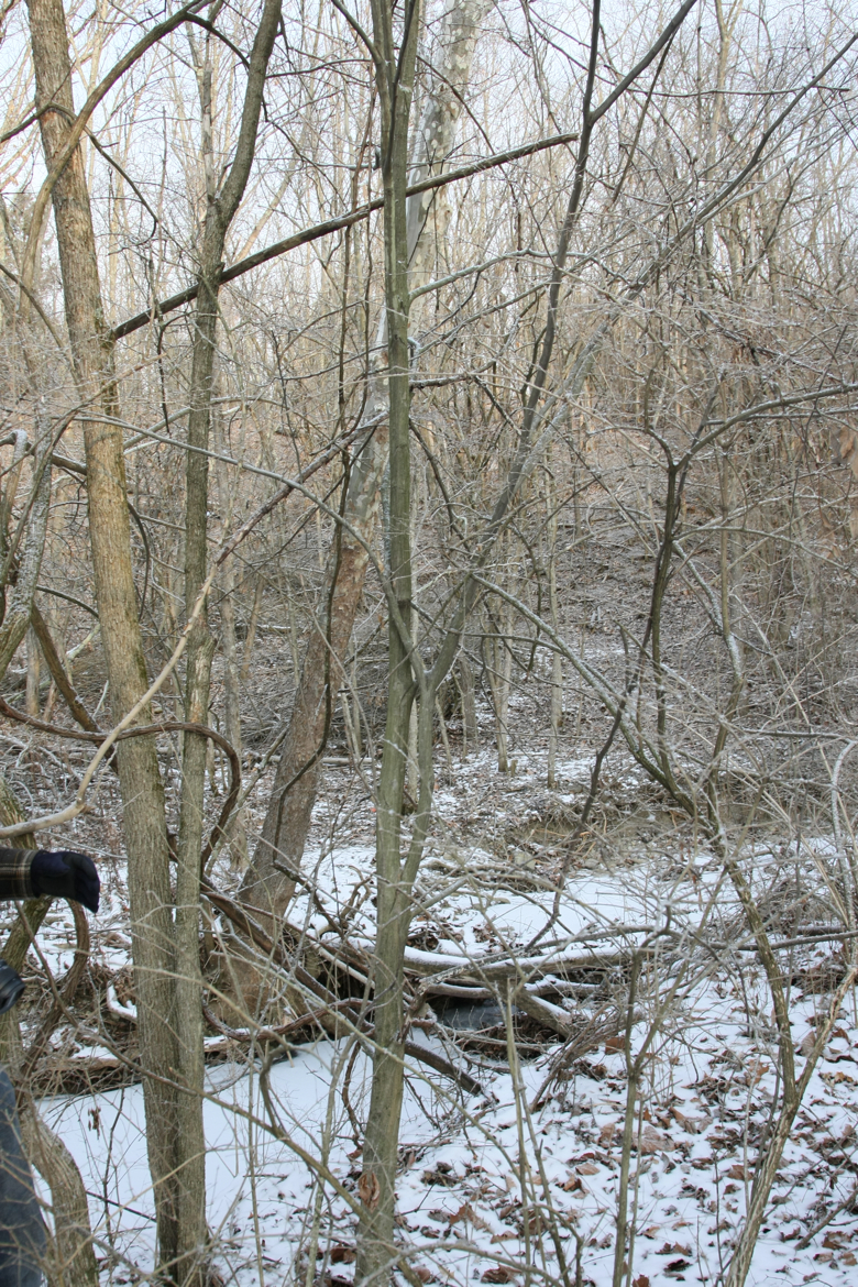 Full Size Image = 7959 K