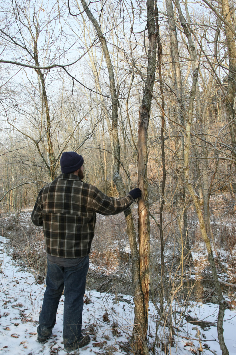 Full Size Image = 8366 K