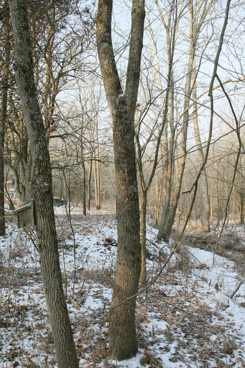 Full Size Image = 8911 K