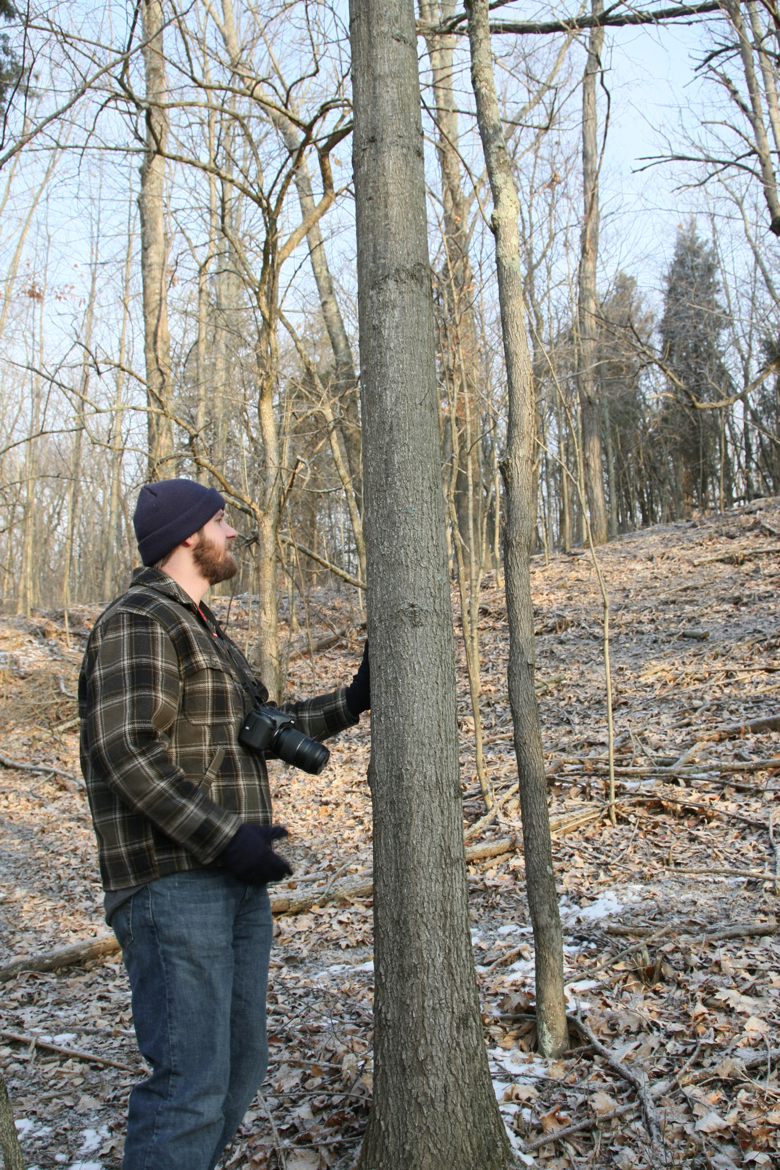 Full Size Image = 6897 K