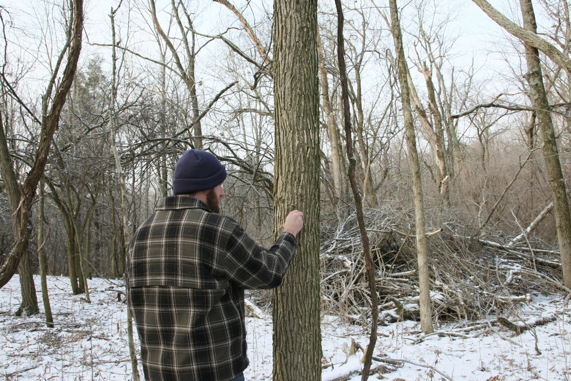 Full Size Image = 7614 K