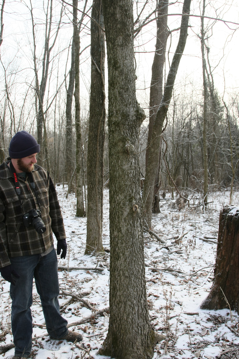 Full Size Image = 6291 K