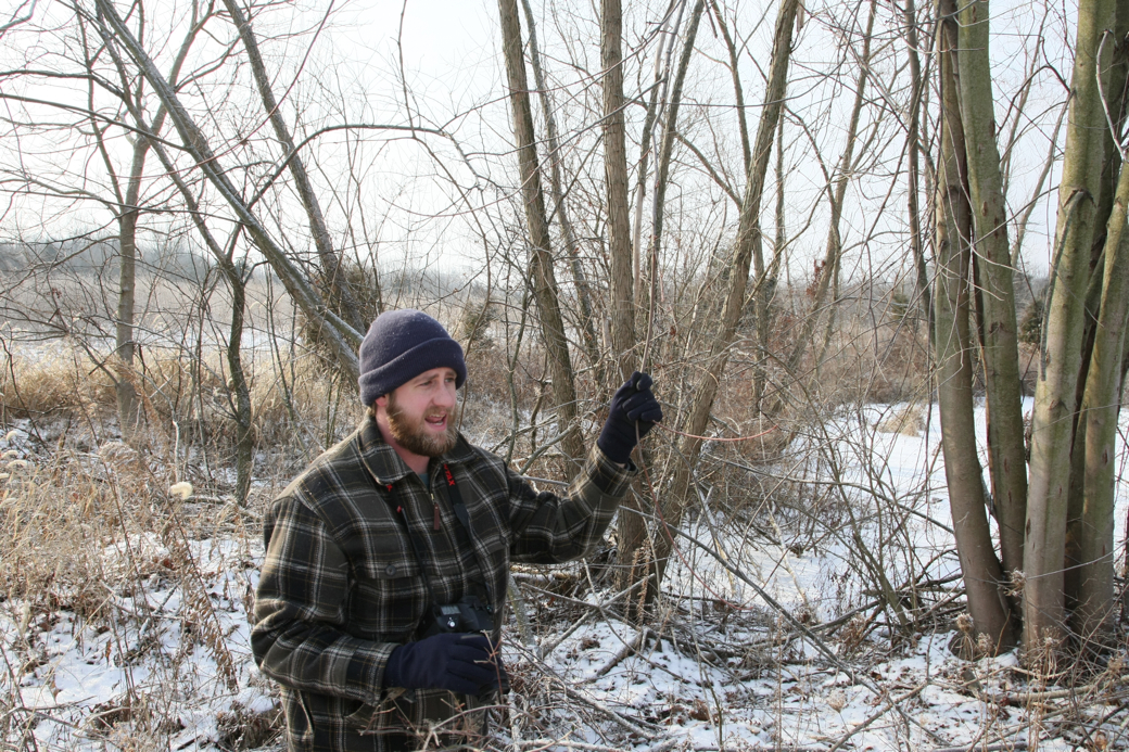 Full Size Image = 6341 K