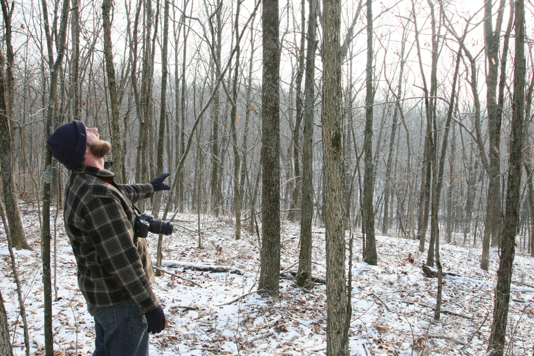 Full Size Image = 6450 K