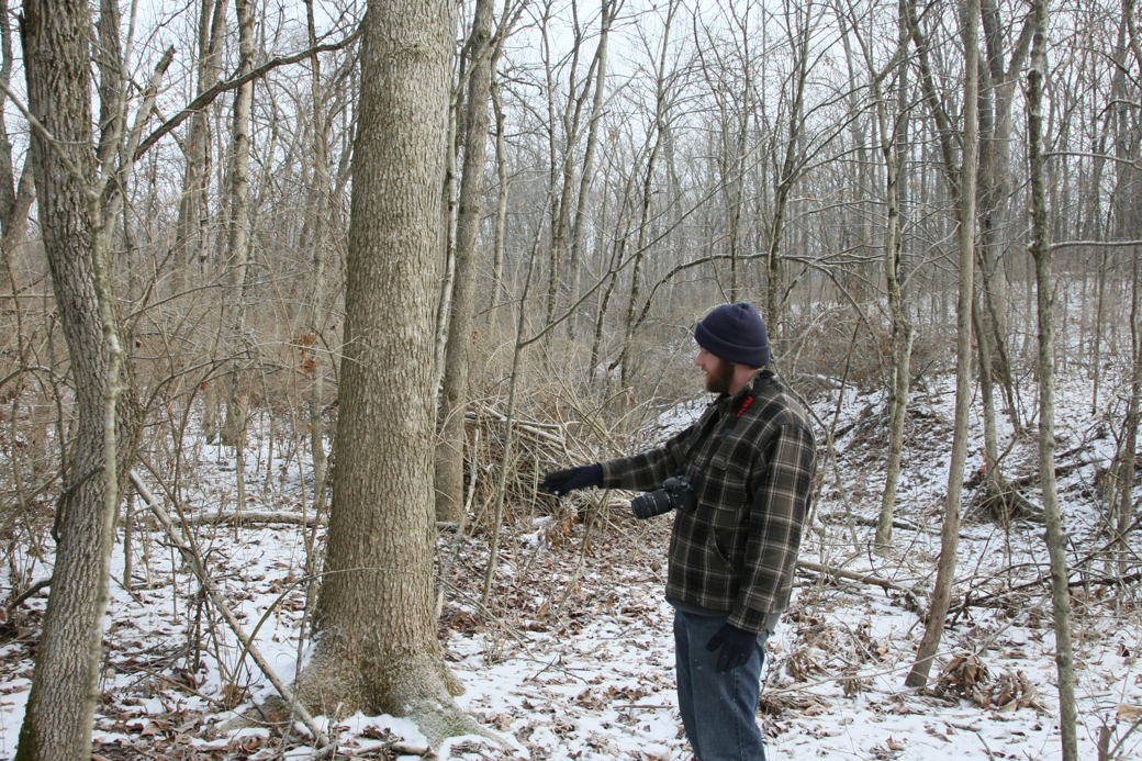 Full Size Image = 6388 K