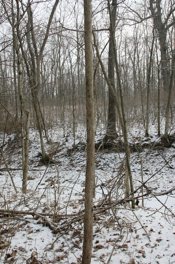 Full Size Image = 6640 K