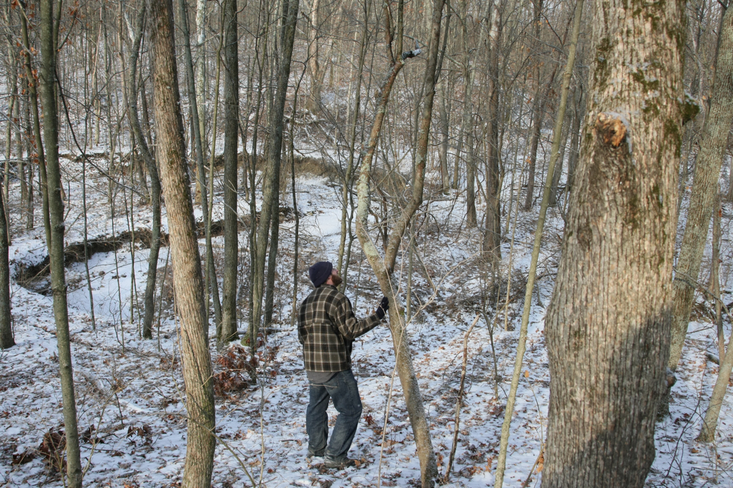 Full Size Image = 6332 K