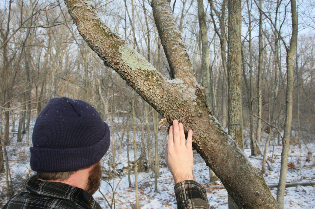 Full Size Image = 4310 K