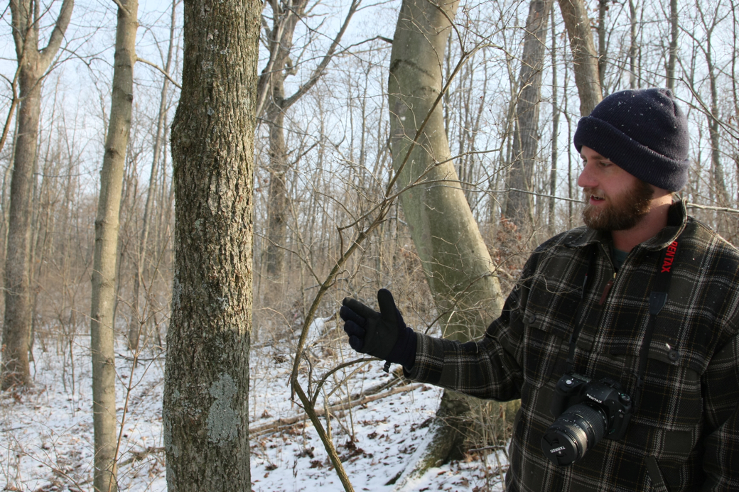 Full Size Image = 4617 K