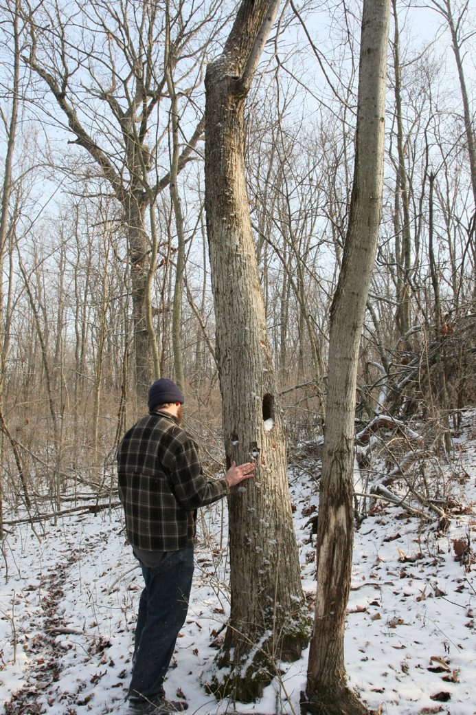 Full Size Image = 6164 K