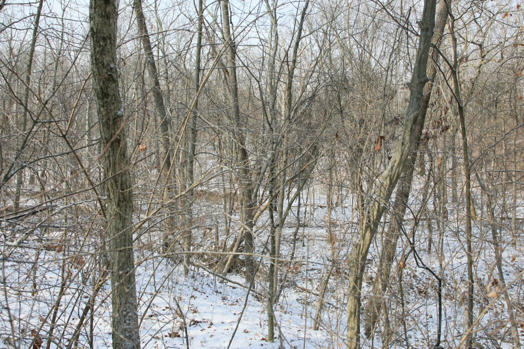 Full Size Image = 7092 K